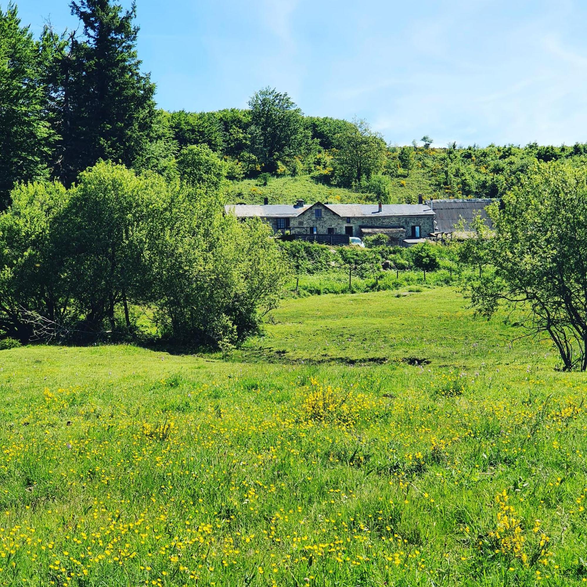 Ranch Du Haut-Languedoc La Salvetat-sur-Agout Exterior photo